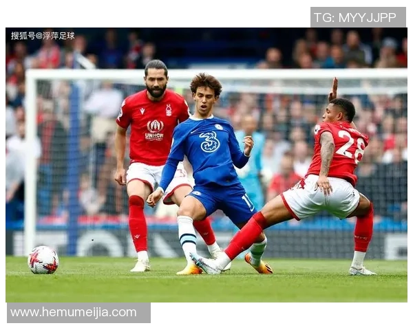 森林足球队的梦想与拼搏：在绿茵场上书写青春传奇